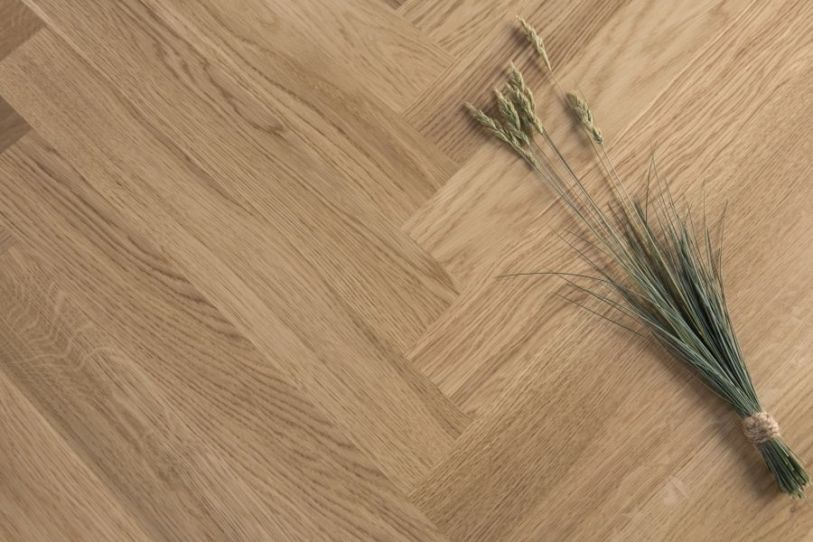Dąb Jodełka Klasyczna ol - 149zł